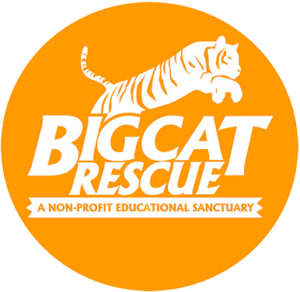 logo Bigcat Rescue