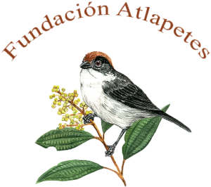 logo Fundación Atlapetes